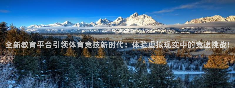 全新教育平台引领体育竞技新时代：体验虚拟现实中的竞速挑战!