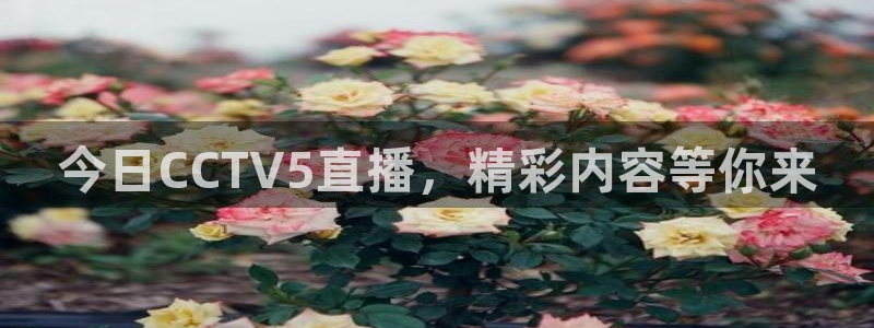 今日CCTV5直播，精彩内容等你来
