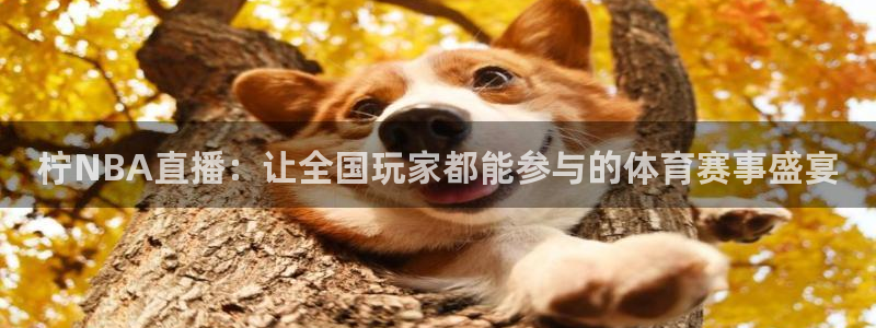 柠NBA直播：让全国玩家都能参与的体育赛事盛宴