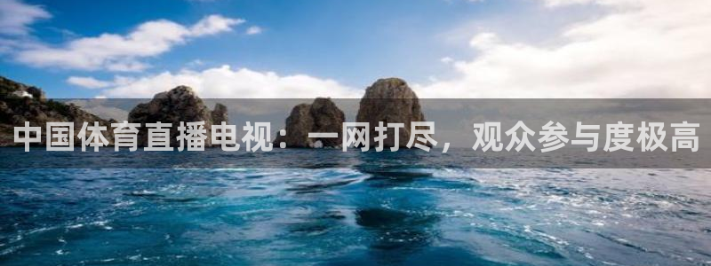 中国体育直播电视：一网打尽，观众参与度极高