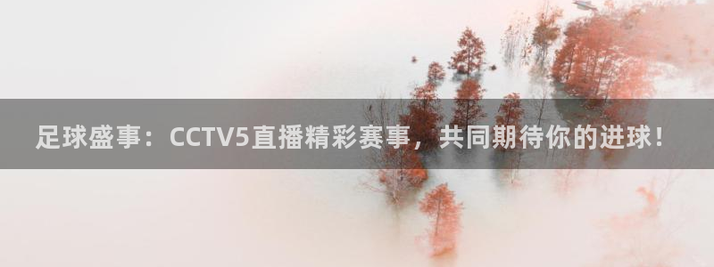 足球盛事：CCTV5直播精彩赛事，共同期待你的进球！